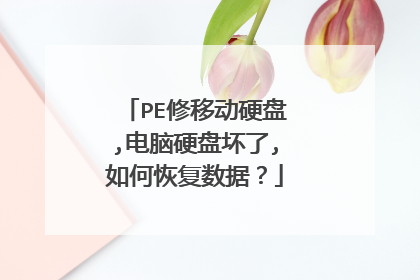 PE修移动硬盘,电脑硬盘坏了,如何恢复数据?