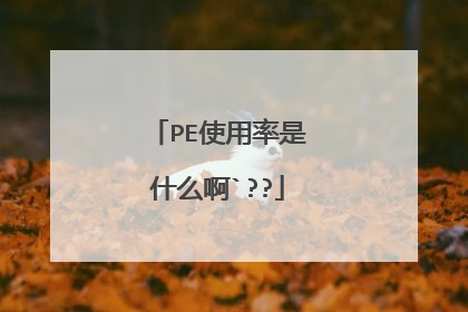 PE使用率是什么啊`??