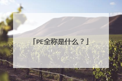 PE全称是什么?