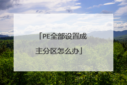 PE全部设置成主分区怎么办