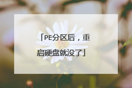 PE分区后,重启硬盘就没了
