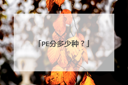 PE分多少种？
