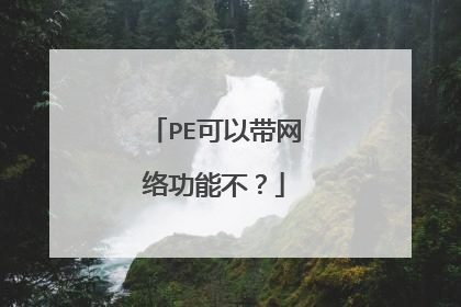 PE可以带网络功能不?
