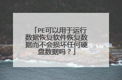 PE可以用于运行数据恢复软件恢复数据而不会损坏任何硬盘数据吗？