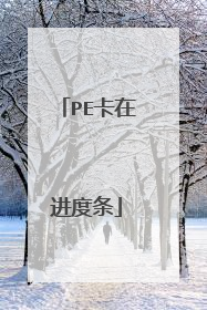 PE卡在进度条