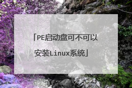 PE启动盘可不可以安装Linux系统