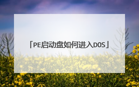 PE启动盘如何进入DOS