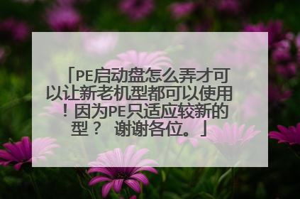 PE启动盘怎么弄才可以让新老机型都可以使用!因为PE只适应较新的型? 谢谢各位。
