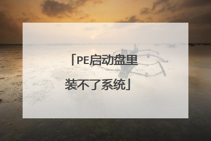 PE启动盘里装不了系统