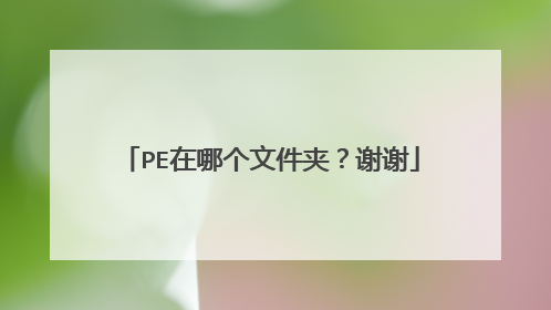 PE在哪个文件夹?谢谢