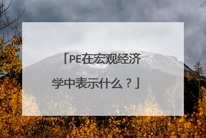 PE在宏观经济学中表示什么?
