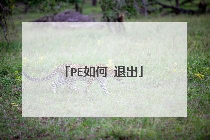 PE如何 退出