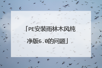 PE安装雨林木风纯净版6.0的问题