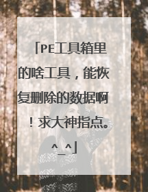 PE工具箱里的啥工具,能恢复删除的数据啊!求大神指点。^_^