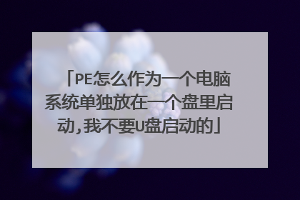 PE怎么作为一个电脑系统单独放在一个盘里启动,我不要U盘启动的