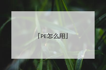 PE怎么用