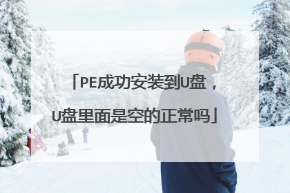 PE成功安装到U盘，U盘里面是空的正常吗