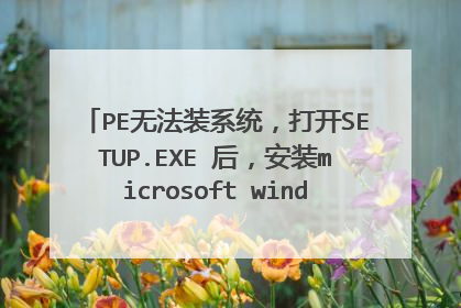PE无法装系统,打开SETUP.EXE 后,安装microsoft windows xp 是灰色的