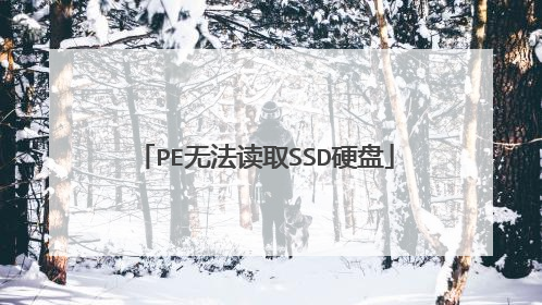 PE无法读取SSD硬盘