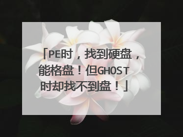 PE时,找到硬盘,能格盘!但GHOST时却找不到盘!