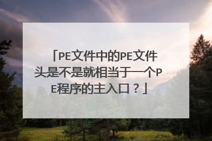 PE文件中的PE文件头是不是就相当于一个PE程序的主入口?