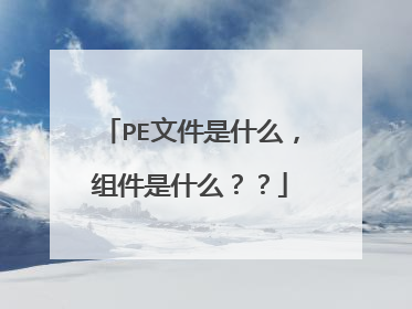 PE文件是什么，组件是什么？？