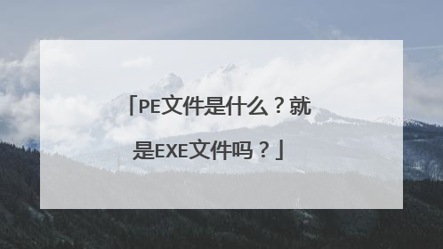PE文件是什么？就是EXE文件吗？