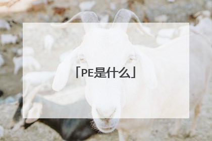 PE是什么