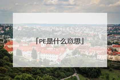 PE是什么意思