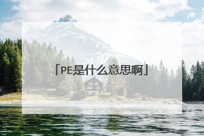 PE是什么意思啊