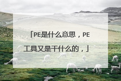 PE是什么意思，PE工具又是干什么的，