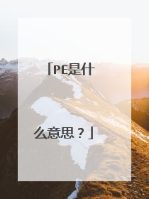 PE是什么意思?