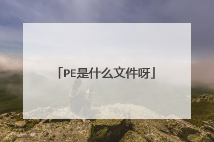 PE是什么文件呀