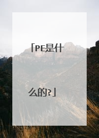 PE是什么的?