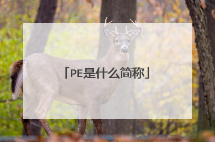 PE是什么简称