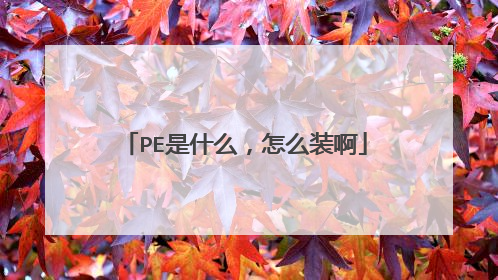 PE是什么,怎么装啊