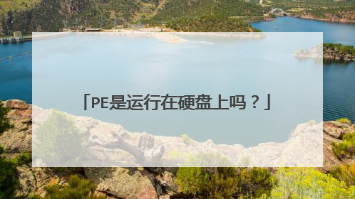 PE是运行在硬盘上吗?