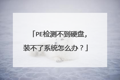 PE检测不到硬盘,装不了系统怎么办?