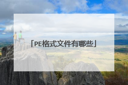 PE格式文件有哪些