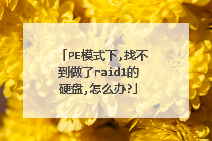 PE模式下,找不到做了raid1的硬盘,怎么办?