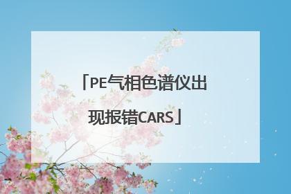 PE气相色谱仪出现报错CARS