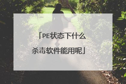 PE状态下什么杀毒软件能用呢