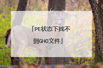 PE状态下找不到GHO文件
