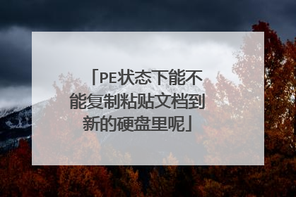 PE状态下能不能复制粘贴文档到新的硬盘里呢