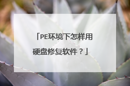 PE环境下怎样用硬盘修复软件?