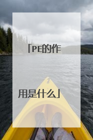 PE的作用是什么