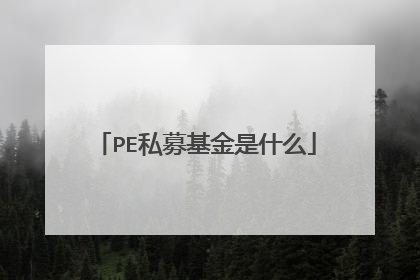 PE私募基金是什么