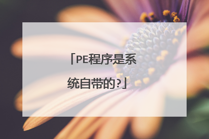 PE程序是系统自带的?