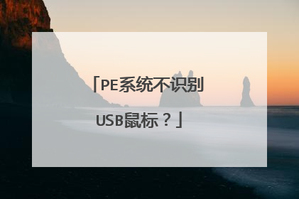 PE系统不识别USB鼠标？