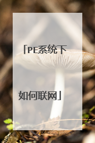 PE系统下如何联网
